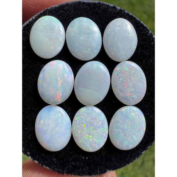Australian Opal Cabochons Lot - 8.77 carats in Display Box #164 - Picture 2 of 7